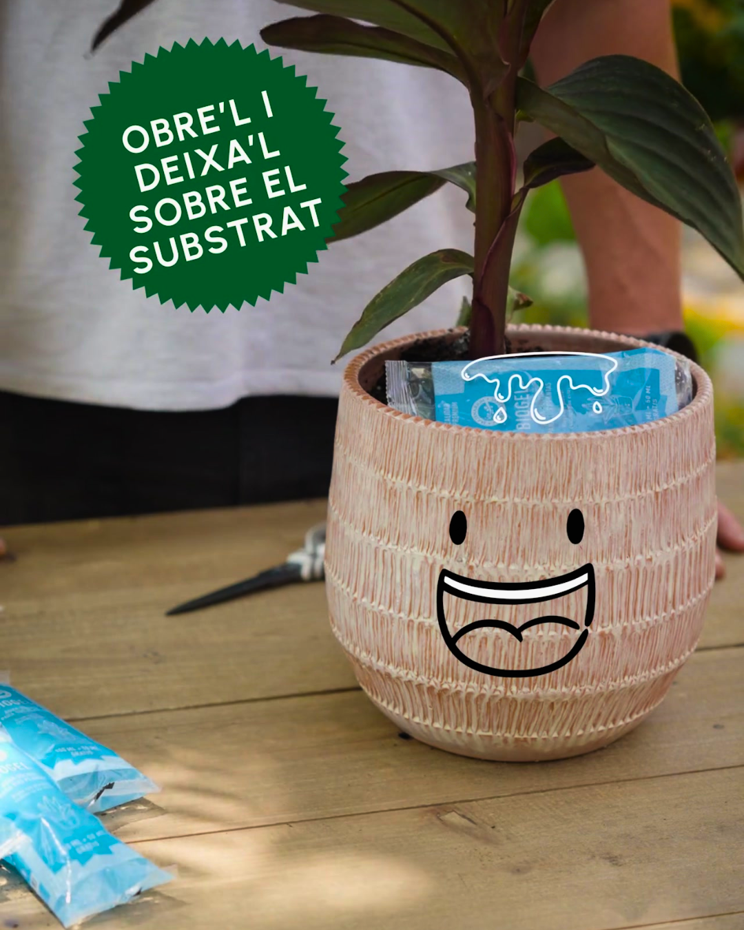 Vas de vacances i estàs preocupat per les teves plantes? Aquí tens la solució perfecta!